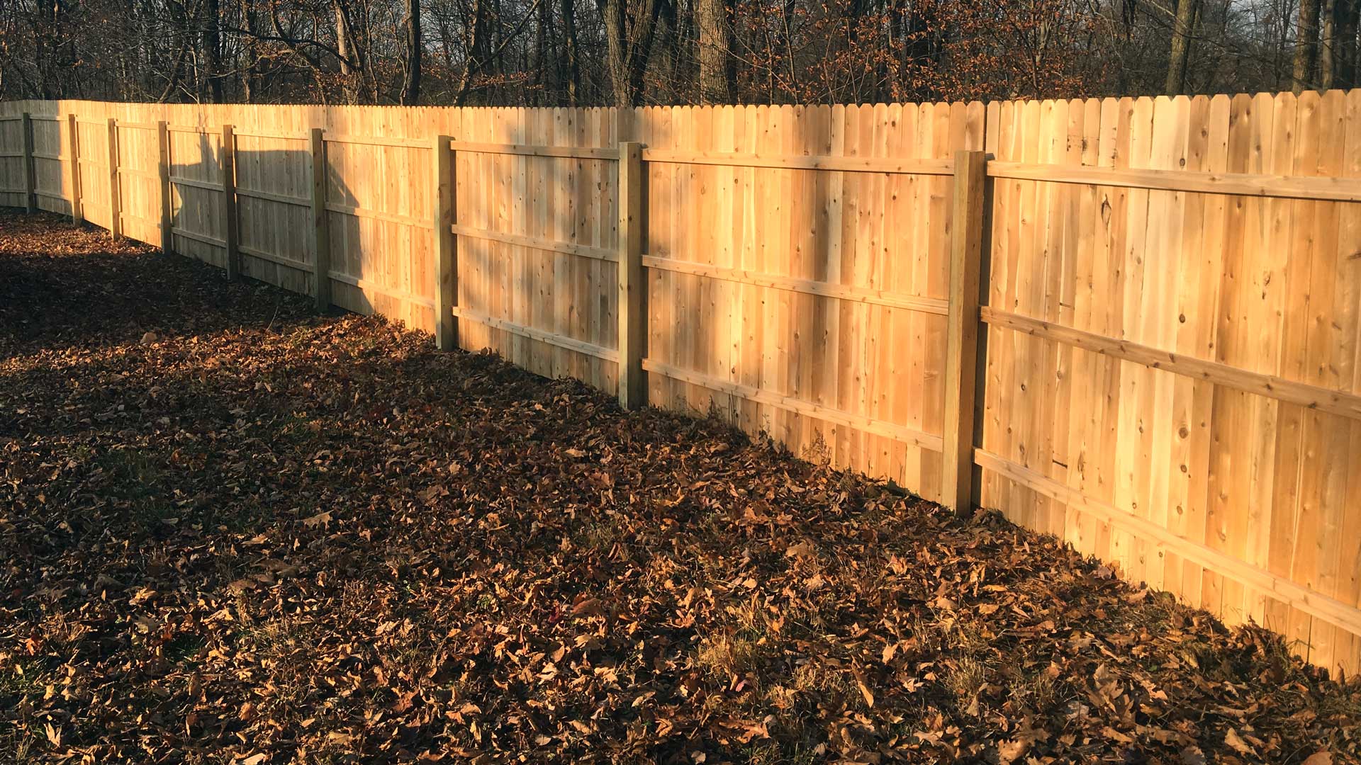 A newly constructed solid board wood fence seen in the fall